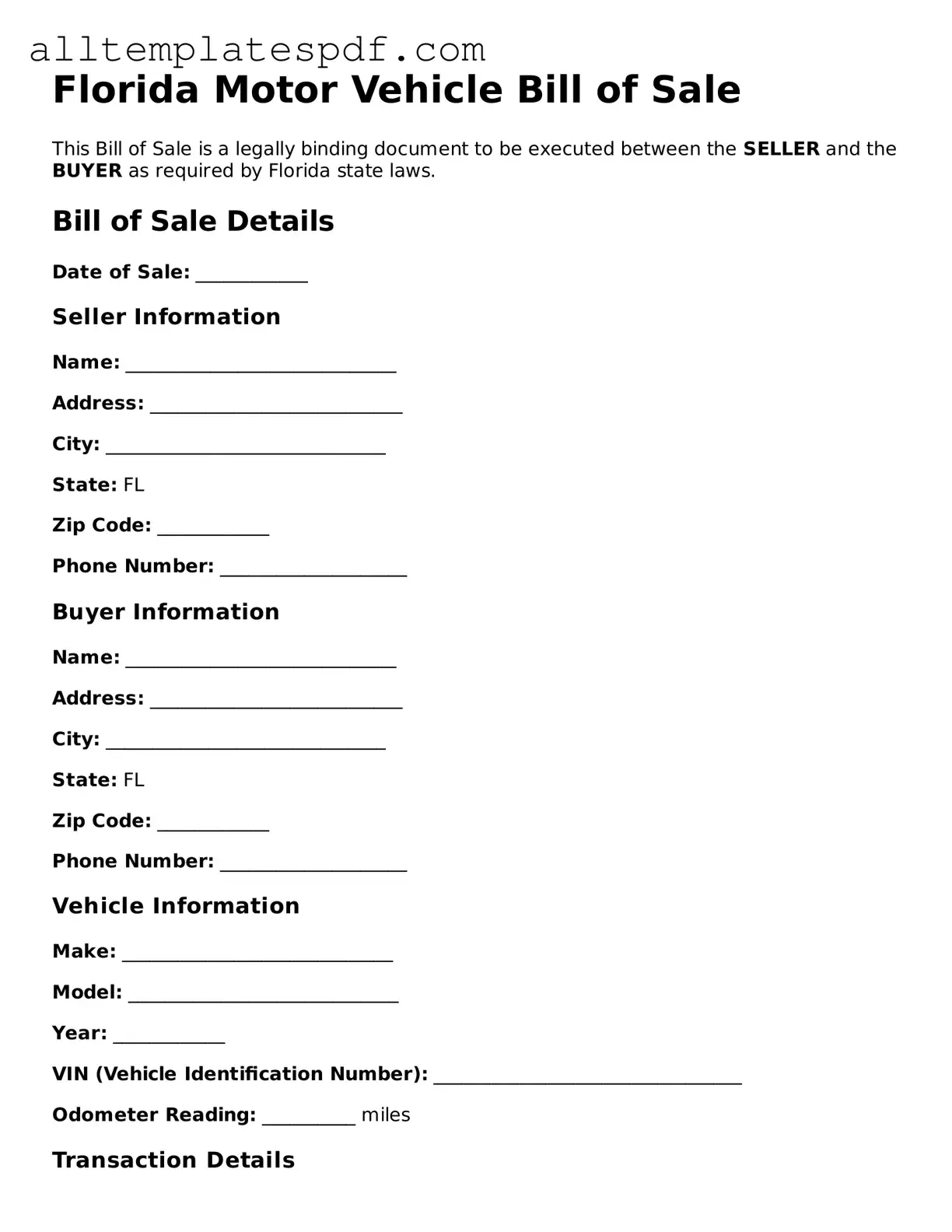 Blank Motor Vehicle Bill of Sale Template for the State of Florida