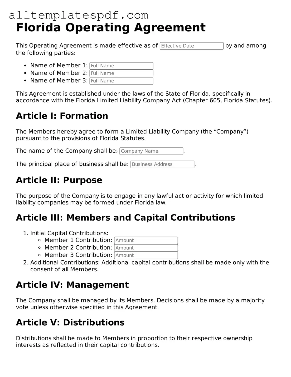 Blank Operating Agreement Template for the State of Florida