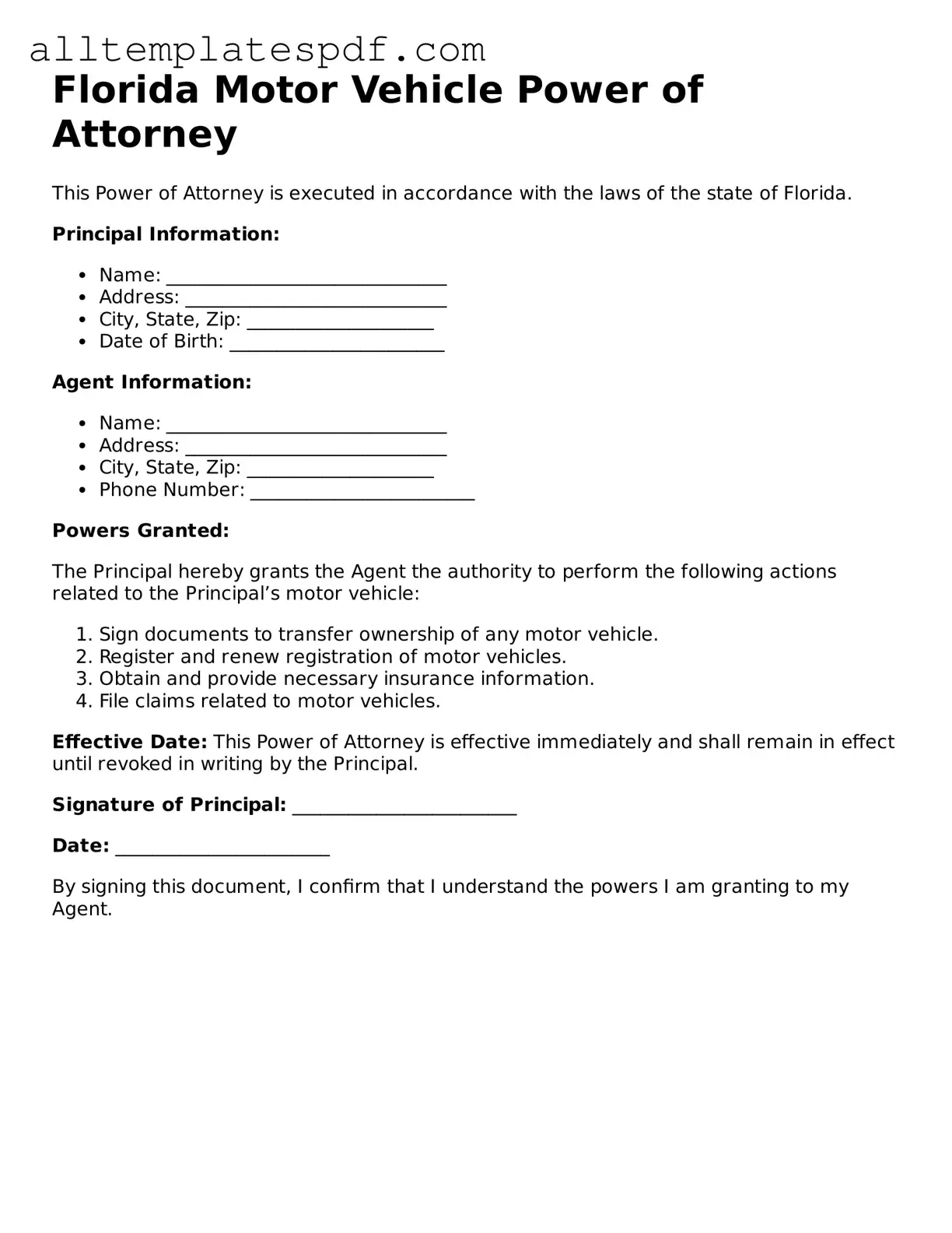 Blank Motor Vehicle Power of Attorney Template for the State of Florida