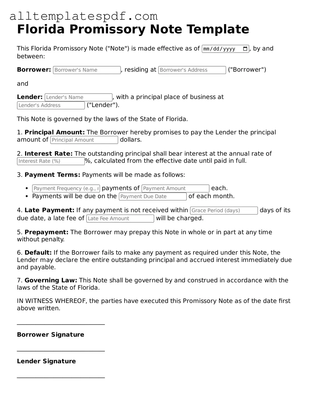 Blank Promissory Note Template for the State of Florida