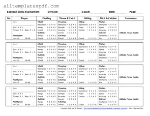 Fill Out a Valid Baseball Assessment Form