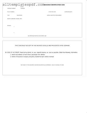 Fill Out a Valid Auto Insurance Card Form