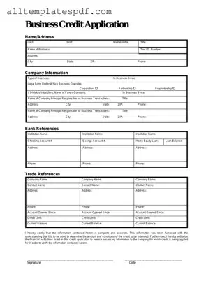 Fill Out a Valid Business Credit Application Form