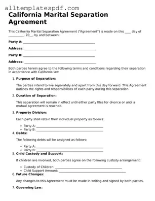Blank Marital Separation Agreement Template for the State of California
