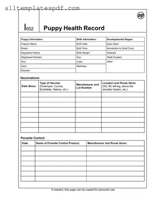 Fill Out a Valid Puppy Health Record Form