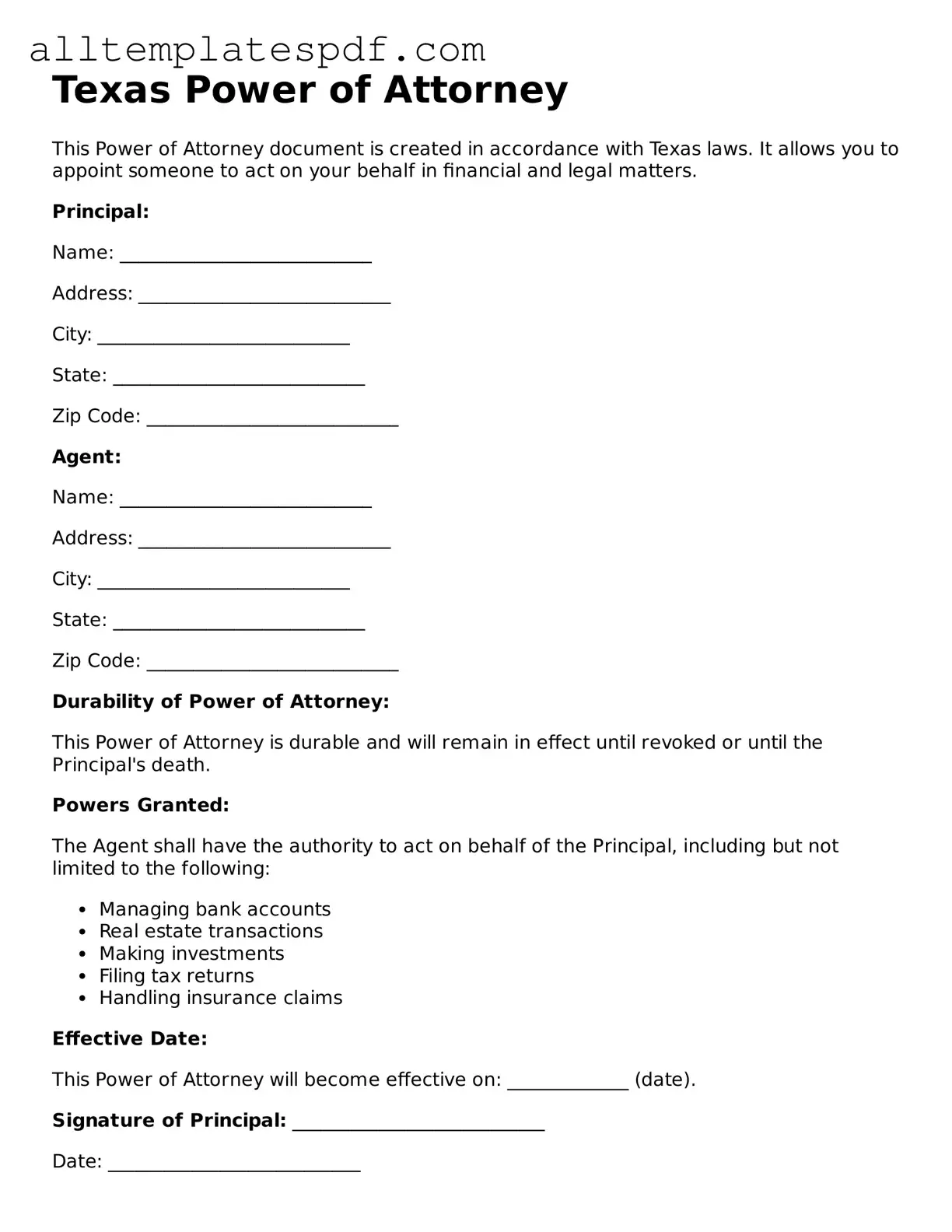 Blank Power of Attorney Template for the State of Texas