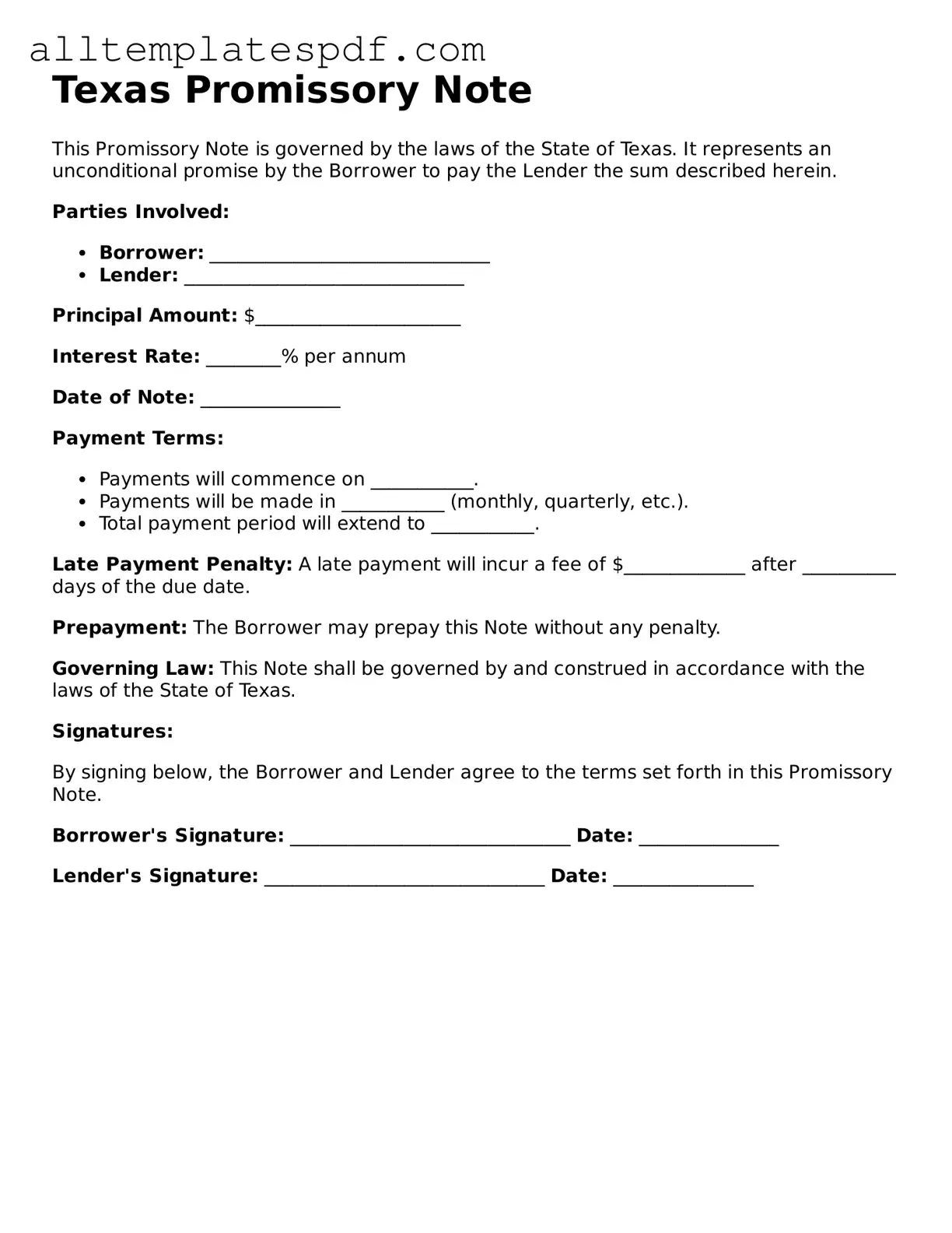 Blank Promissory Note Template for the State of Texas